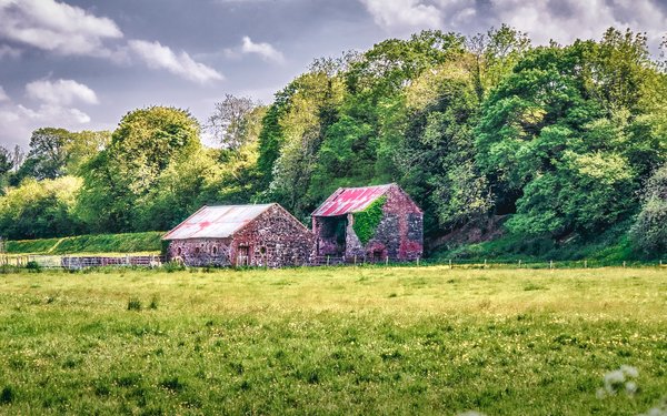 Les avantages époustouflants de la vie à la campagne
