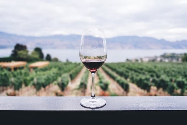 Les secrets de la vente de Pierre Dorée du Beaujolais : Comment ce vin séduit les amateurs